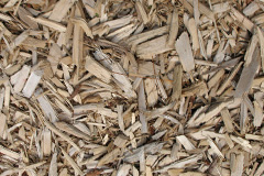 biomass boilers Carntyne